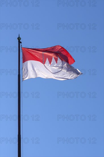 Waving Franconian flag in the blue sky