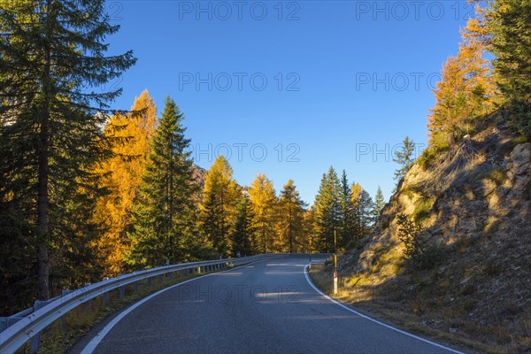 Mountain road in autumn