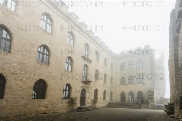 Hambach Castle in the fog