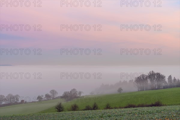 Countryside at Dawn with Morning Mist