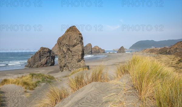 View over sandy beach with thins and large rocks