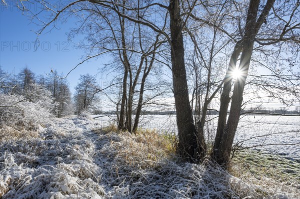 Snow