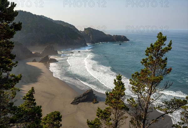 Sandy beach beach by the sea