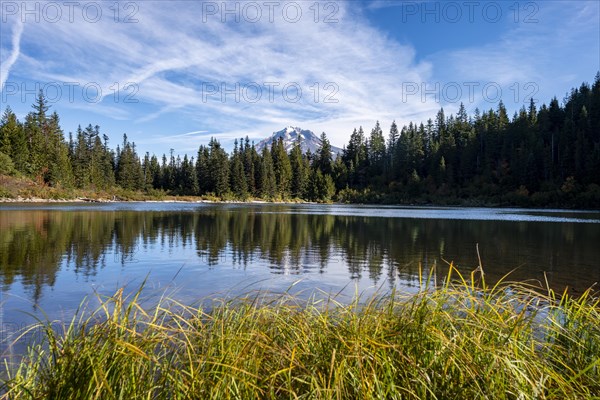 Mirror Lake with forest