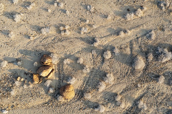 Dried up rivers after years of drought