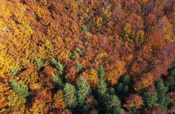 Drone image