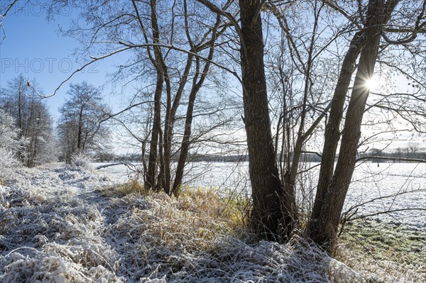 Snow