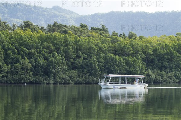 Tourist boat on the Daintree river