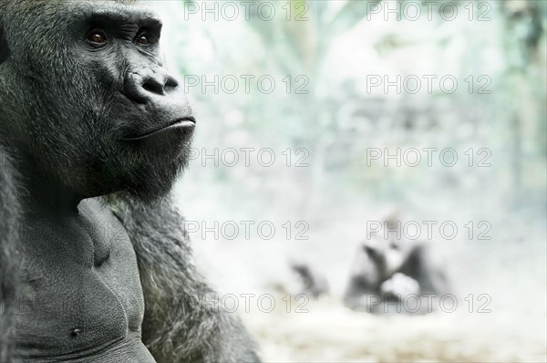 Hellabrunn Zoo