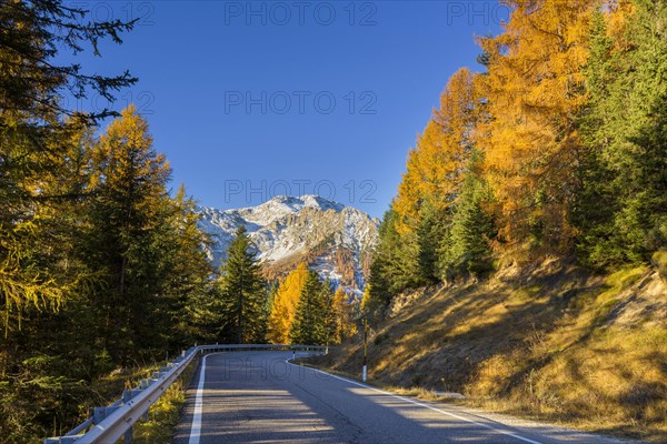 Mountain road in autumn