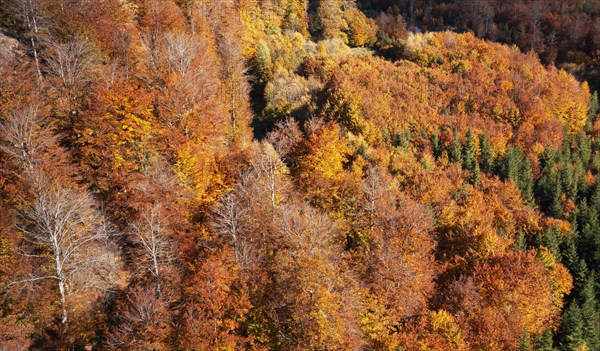 Drone image