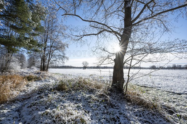 Snow