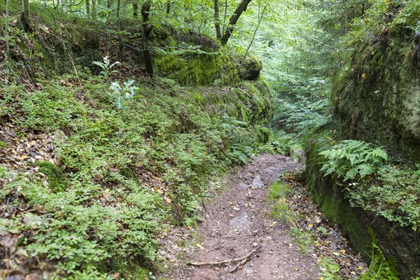 Gueldene Pforte