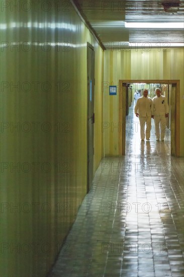 The Golden Corridor