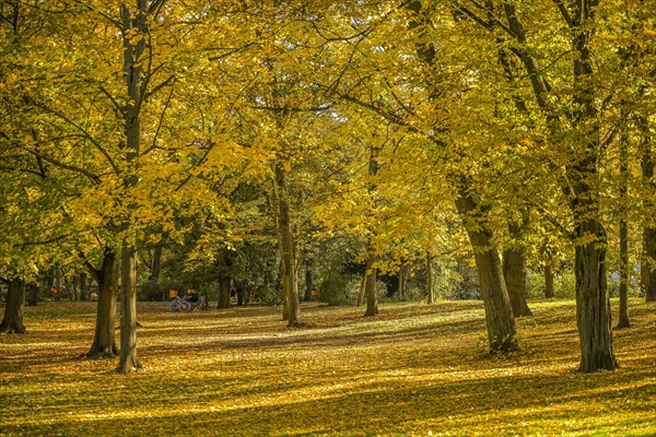 Autumn