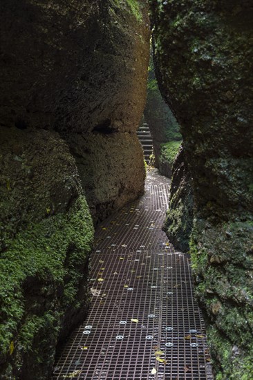 Hiking trail through narrows of the Drachenschlucht
