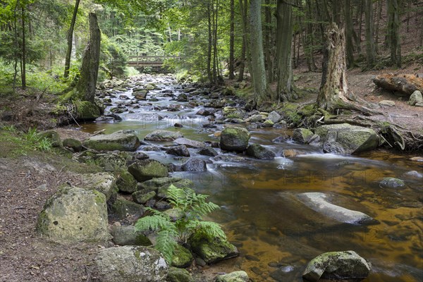 Mountain river Ilse