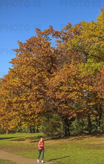 Autumn