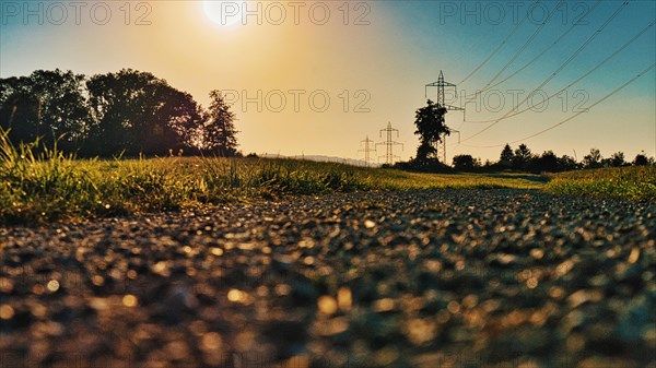 Frog perspective