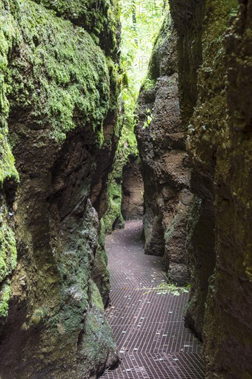 Hiking trail through narrows of the Drachenschlucht