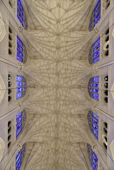 Vaulted Ceiling