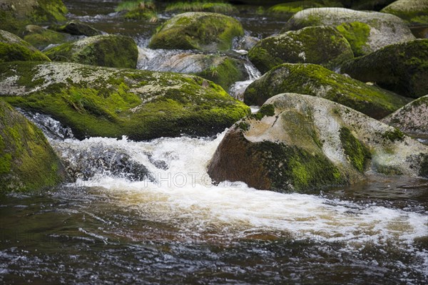 River flowing over stones