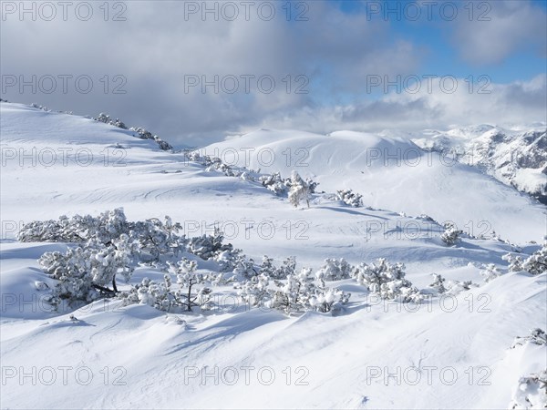 Winter landscape