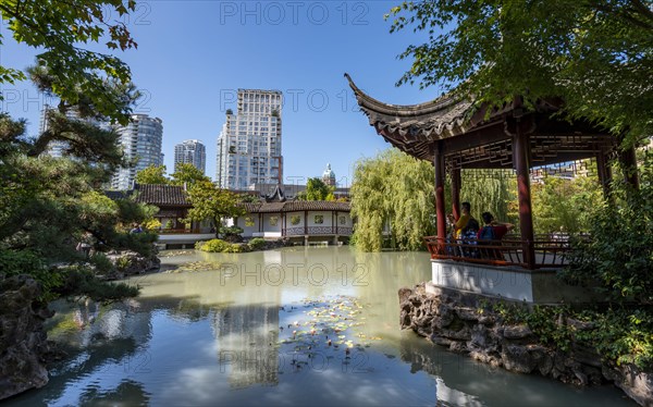 Garden with pond