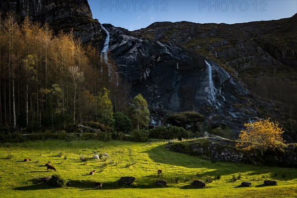 Waterfall in autumn landscape