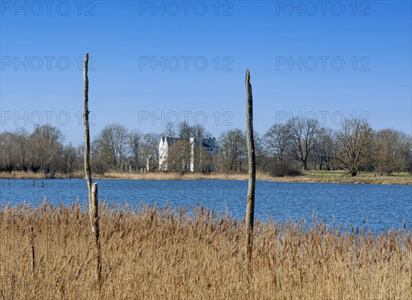 Nature reserve at the Mellnitz Ueselitzer Wiek on Ruegen