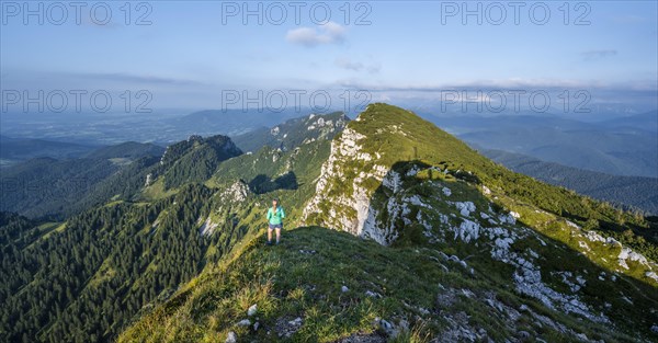 Hiker