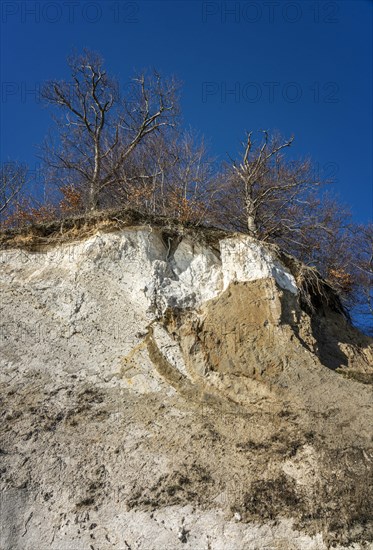 Slopes and chalk cliffs on the pebble beach of Pirate's Gorge on the island of Ruegen