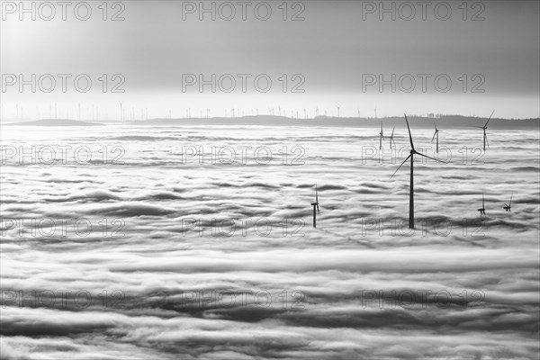 Wind turbines rising from cloud cover