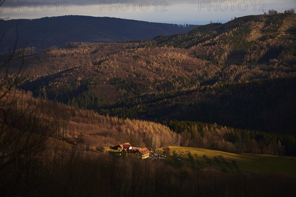 Spotlight from the sunon a small farm