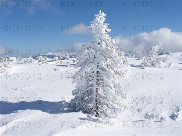 Blue sky over winter landscape