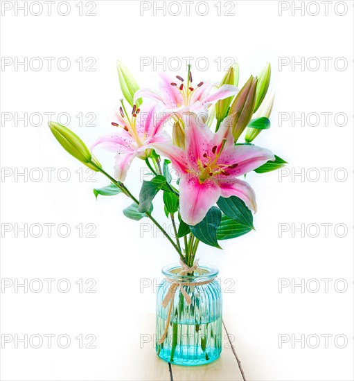 Pink lily flower bunch bouquet over white copyspace
