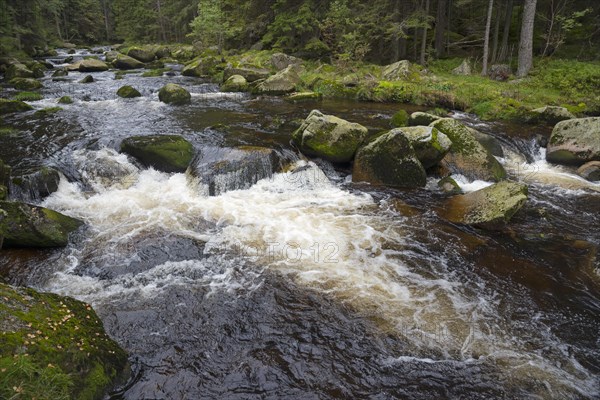 River flowing over stones