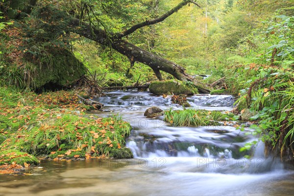 Allerheiligen Waterfalls