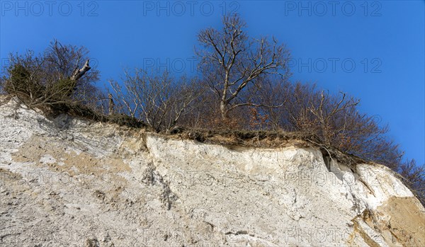 Slopes and chalk cliffs on the pebble beach of Pirate's Gorge on the island of Ruegen