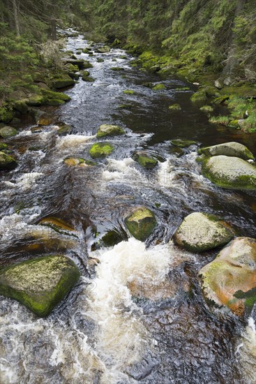 River flowing over stones