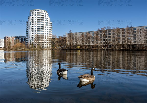 Residential buildings in the new development area of Spandau Wasserstadt on the Havel