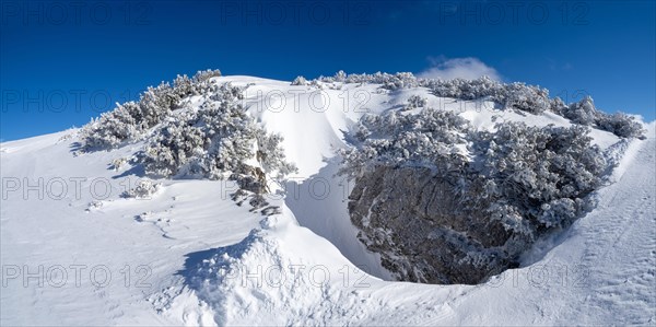 Blue sky over winter landscape