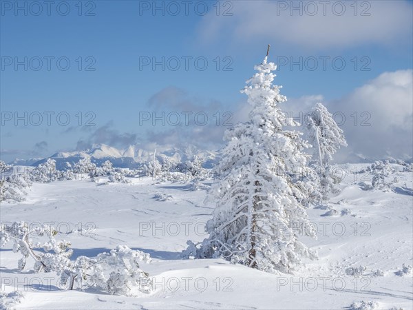 Blue sky over winter landscape