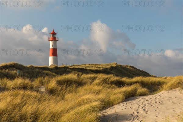 List East lighthouse in the dunes