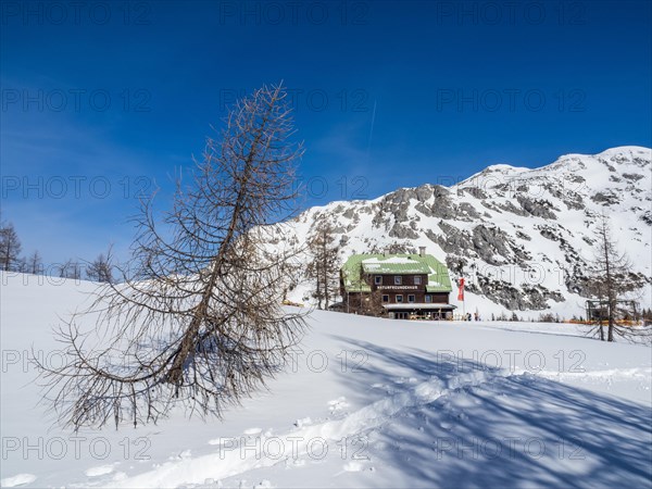 Blue sky over winter landscape
