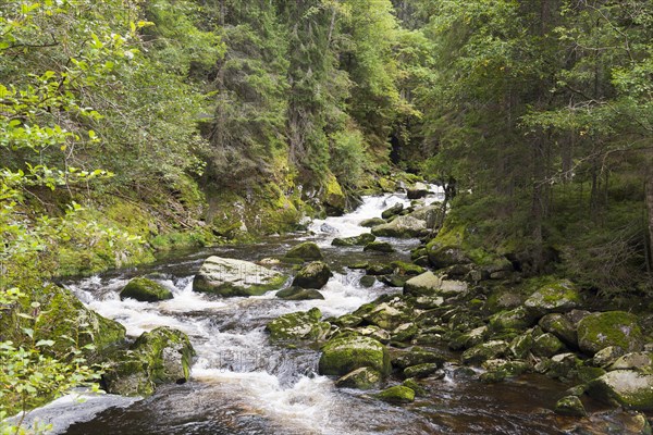 River flowing over stones