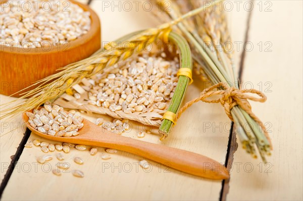 Organic barley grains over rustic wood table macro closeup