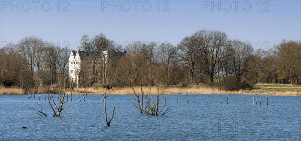 Nature reserve at the Mellnitz Ueselitzer Wiek on Ruegen