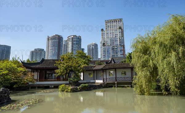 Garden with pond