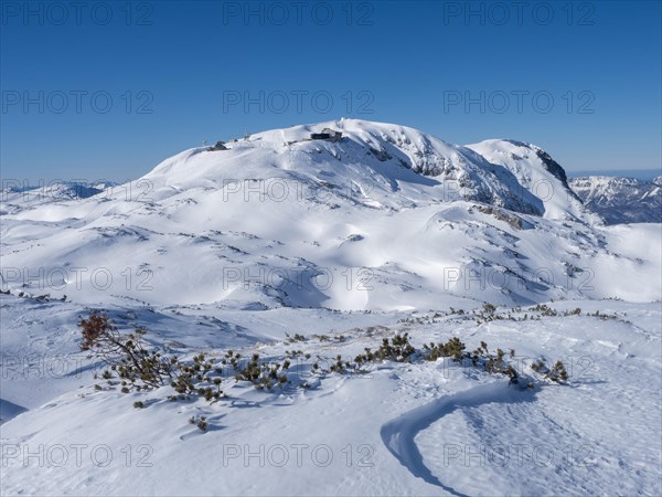 Winter landscape
